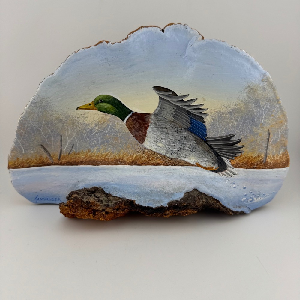 Schneider Hand Painted Mallard Duck Mushroom Art Multi Excellent Folk Art Signed